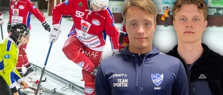 Kalix Bandys nya strategi – värvar ungt för framtiden: "Vi har en plan" • Två 19-åringar klara