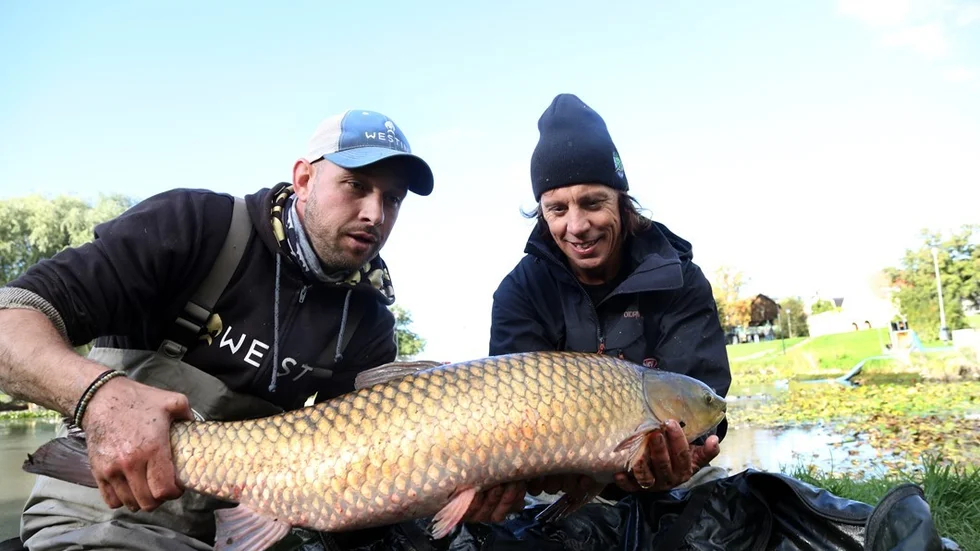 Nicka hellenberg och kenny Cronhamn fiskar karp i Almedalen