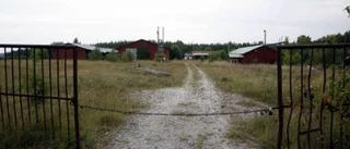 Kreosotgrannar kan få kommunalt vatten