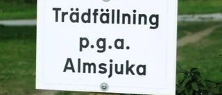 Almsjukan sprider sig