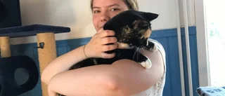 Här får övergivna katter en ny chans