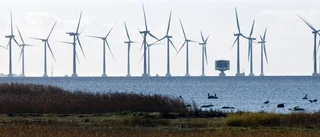 Kommuner bör tillåta vindkraft i havsvatten