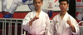 Anthony Vu tog guld i Ungern