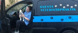 Emma rycker ut när djuren blir sjuka