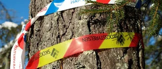 "Vi har inte gjort något fel"
