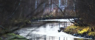Miljonprojekt ska rädda vattendrag