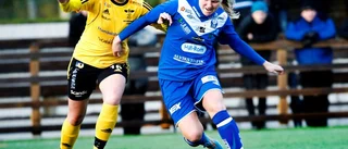 Meriterat nyförvärv till Notviken