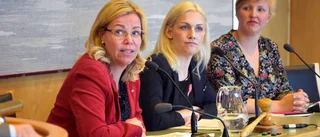 Kandidaterna – vilka är de egentligen?