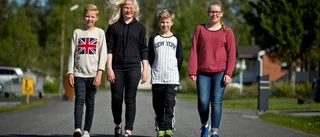 Kritik mot klassindelning