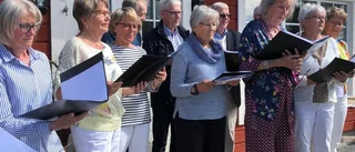 Glada skratt, surr och mätta magar