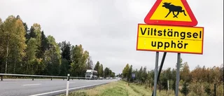 Därför försenas viltstängsel