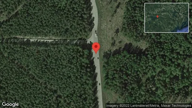 Fallna träd skapar problem i trafiken på väg 56