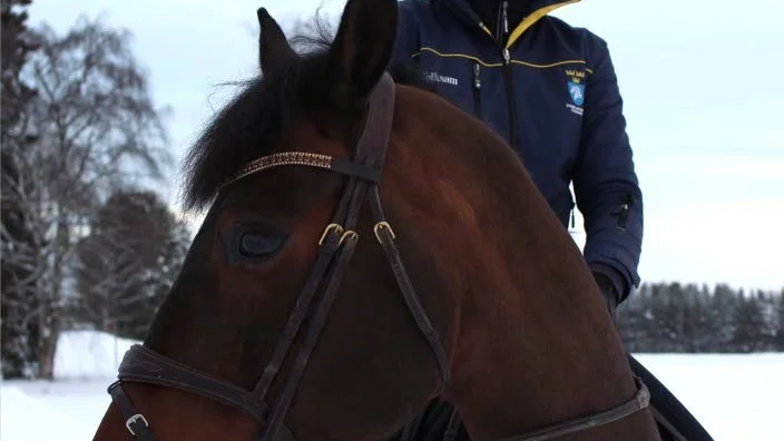SPÄNNANDE. Wilma Marklund har tappat mark i kvalet till Göteborg Horse Show. Nu väntar en spännande kvalavslutning. (Arkivbild)