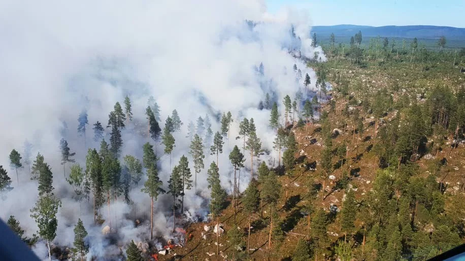 Branden på Lapmoberget rasade i många dagar i somras.