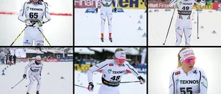 Så här ställer Piteå Elit upp