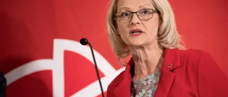Högerextremism bekämpas inte med floskler, Fritzon