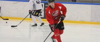 Valde Piteå HC före succélaget