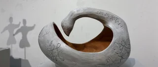 Form och funktion från Surolle