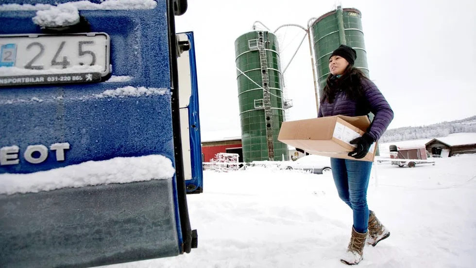 Sara Hortlund driver tillsammans med sin man Ola Hortlund "Årets gröna företag" i Norrbotten. Priset är på 10 000 kronor. (Arkivbild)