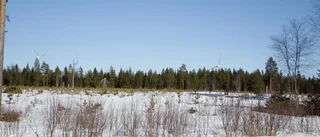 På väg att väcka liv i gamla Grängestomten