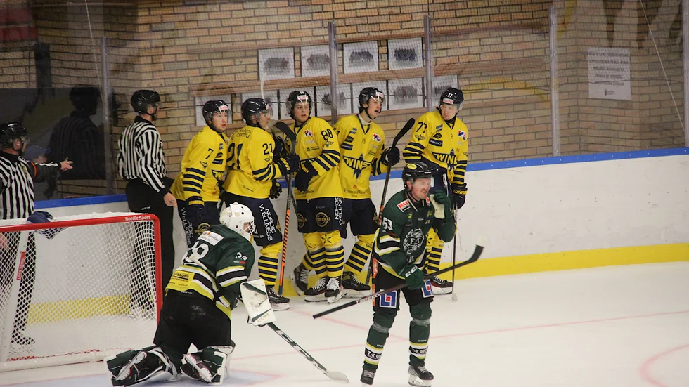 Arlanda Wings kommer till Bahcohallen 1 oktober för att premiärspela i Hockeyettan. Här är en match från förra hösten och 2-8-matchen.