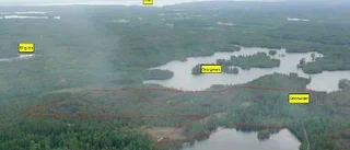 Brandhärjad skog farlig