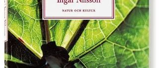 Rabarberplantan - ett måste i villaträdgården