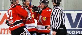 "Vill ni bara ha ishockey i Linköping?"