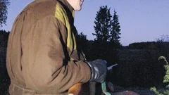 Hunden Tejja har gjort det enklare att få upp spår på älg. Tillsammans med jaktledaren Per Svensson söker hon av jaktområdet. Får hon upp ett spår ger hon skall.
FOTO: TITTI OLOVSSON