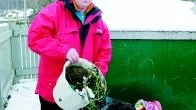 Peter Brunius, regionansvarig på Förpackningsinsamlingen, är besviken över att en Norrköpingsbo dumpat drygt ett dussin sopsäckar med skräp på en av stans återvinningsstationer.
FOTO: MADELEINE TUOMI