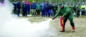 Säkert var det här - så in i skogen