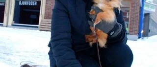 Rätt klädd ska ingen frysa som en hund