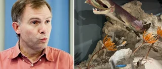Världsnyheten: Uppsalaforskaren upptäckte 380 miljoner år gammalt hjärta • "Rekord" 