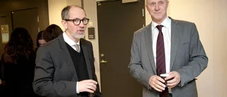Hansson kräver lindrigare straff