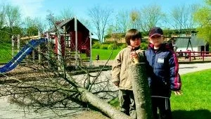 "Ska vi laga trädet nu?" frågade ett litet barn efter att någon sågat ned ett av de få träden på Valthornets gård. Michel Omerovic, Pablo Ortiz och många andra barn på förskolan är ledsna och oförstående till det som hänt. 	Foto: Therese Bergqvist