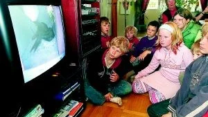 Elever från Jurslaskolans miljögrupp följer med stort intresse hettan i holken - som är kameraövervakad dygnet runt och kopplad till tv:n. Men inte bara tornseglare utan även getingar tycks lockas av Big Brotherlivet, för barnen noterar att det också hänger en getingbilla i holken.