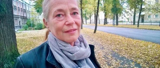 Krogprojekt för unga läggs på is