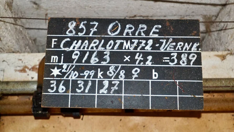 Orres bås. Här är prisbelönta Orres bås i ladugården i Ljusfallshammar. Bland annat ser man att hon föddes 2 oktober 1999.