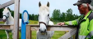 Ponnyridning på riddarhäst