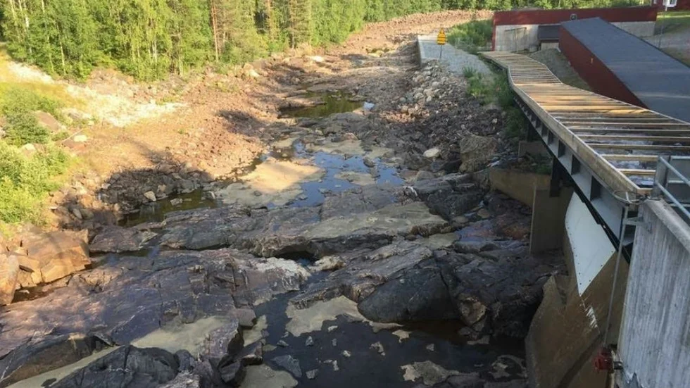 MILJÖPÅVERKAN. "Spill från verket med följden att fisk vandrar ”fel” sker flera gånger varje sommar. Detta är en del av priset vi får betala för det lilla verket som bidrar så begränsat till vår elförsörjning".