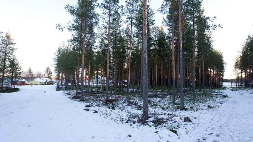 Samhällsbyggnadsnämnden vill godkänna detaljplanen för nya tomter på Hemlunda. (Arkivbild)