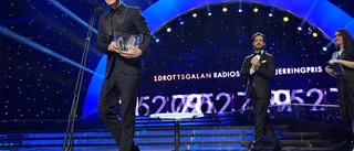 Jerringpriset till Fredricson