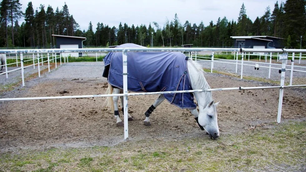 Länsstyrelsen kritiserar rasthagarna för de privatägda hästarna vid anläggningen.