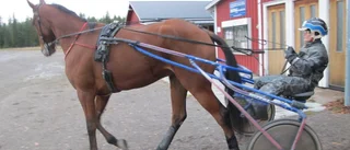 Siktar på V86-seger