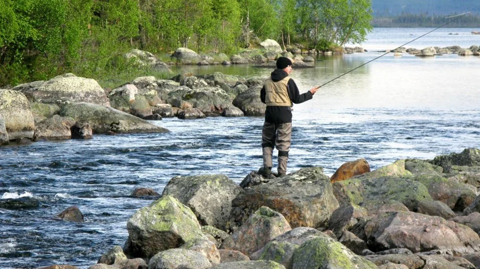 Den 14 juni är det premiär i Arjeplogsströmmarna, men redan i morgon, den 1 juni, drar Nappataget i gång.