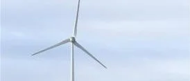 Planer för mer vindkraft utanför Hemmingsmark/Skogsbolag planerar för vindkraft
