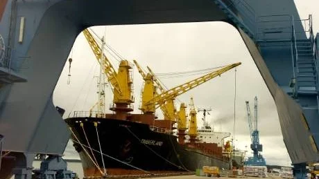 Fyra stora fartyg ligger just nu vid kaj i Pampushamnen, varav Timberland, på bilden, är det längsta med sina drygt 180 meter.