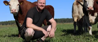 Årets nötköttsföretag i Norrbotten är utsett