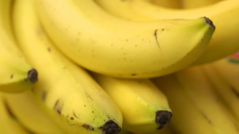 Ecuadoriansk polis har stoppat kokainsmuggling i bananbåtar som i tre fall kan ha varit på väg till Helsingborg. Arkivbild.