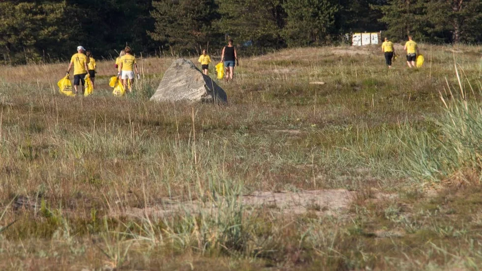 Föreningen bildade en skallgångskedja och betade snabbt av hundratals meter strand.